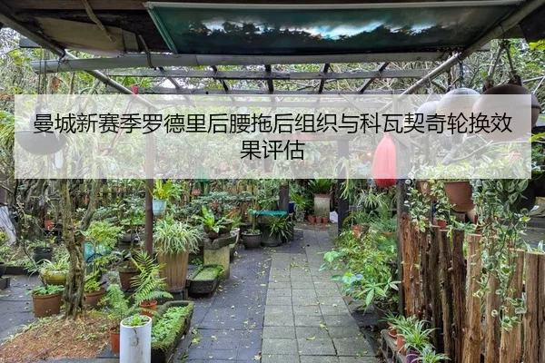 man-cheng-xin-sai-ji-luo-de-li-hou-yao-tuo-hou-zu-zhi-yu-ke-wa-qi-qi-lun-huan-xiao-guo-ping-gu-3-844.jpg